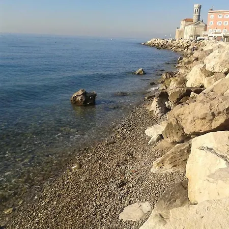 Apartma Kocevar