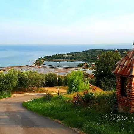 Apartma Apartma Kocevar