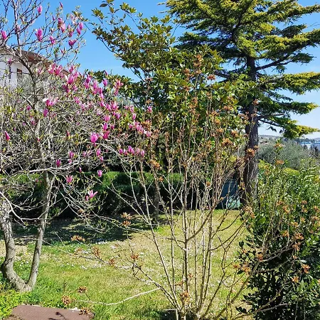 Apartma Kocevar Appartement