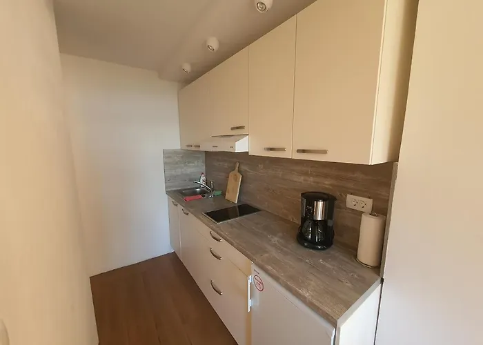 Apartma Kocevar アパート *