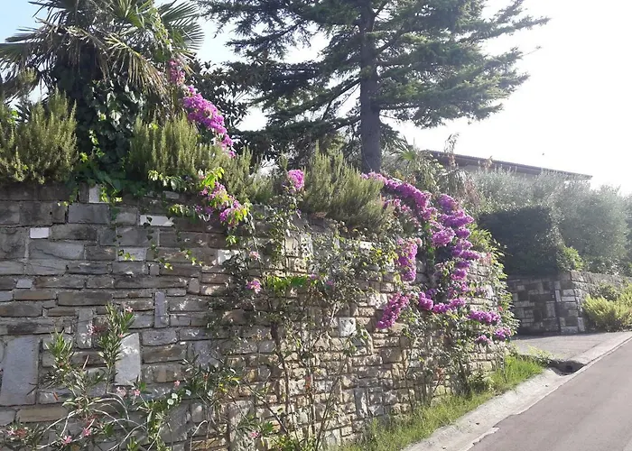 アパート Apartma Kocevar ポルトローシュ