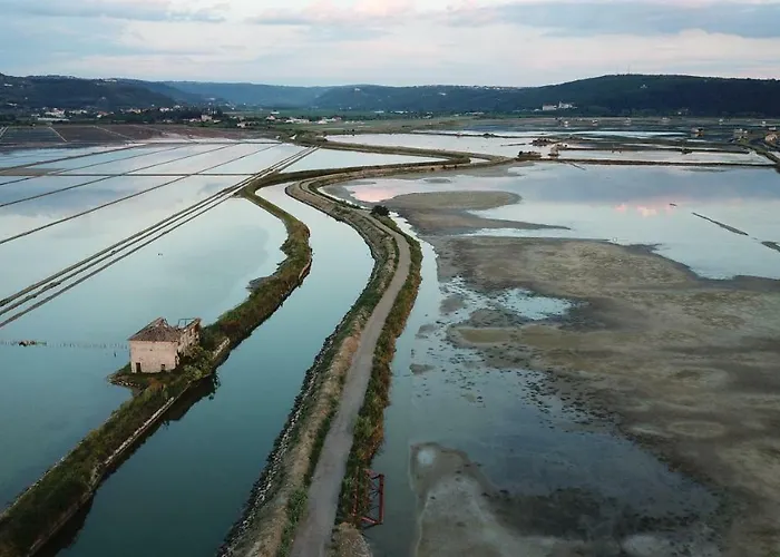 Apartma Kocevar アパート *