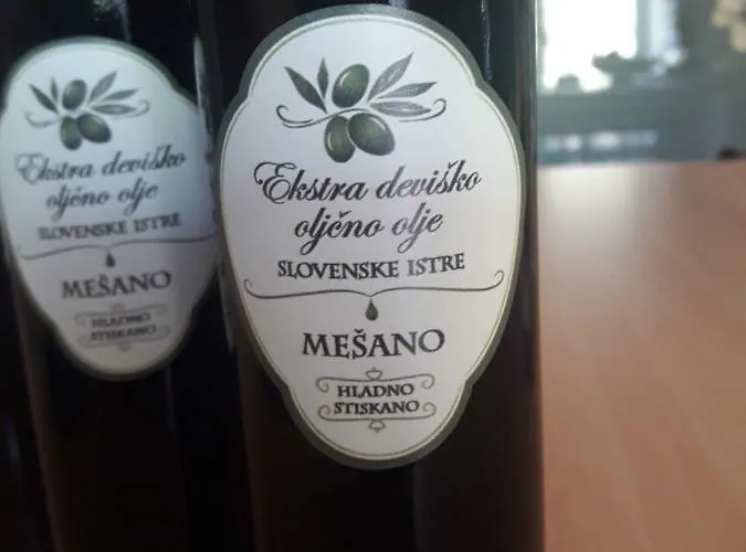 Apartma Kocevar アパート ポルトローシュ